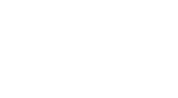 Dr.-Ing. Carsten Gollnisch